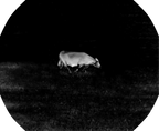 TOPDON TS004 Thermal Monocular Camera - Tool Leaks